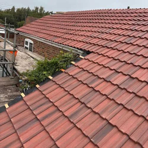 Recent roof project