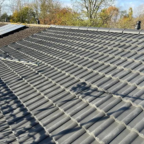 Recent roof project