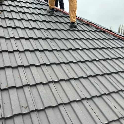 Recent roof project