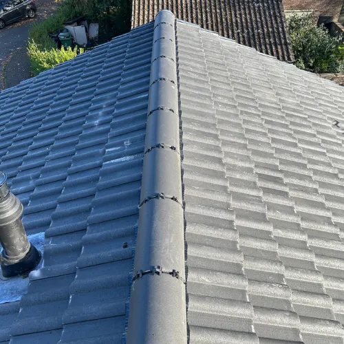 Recent roof project